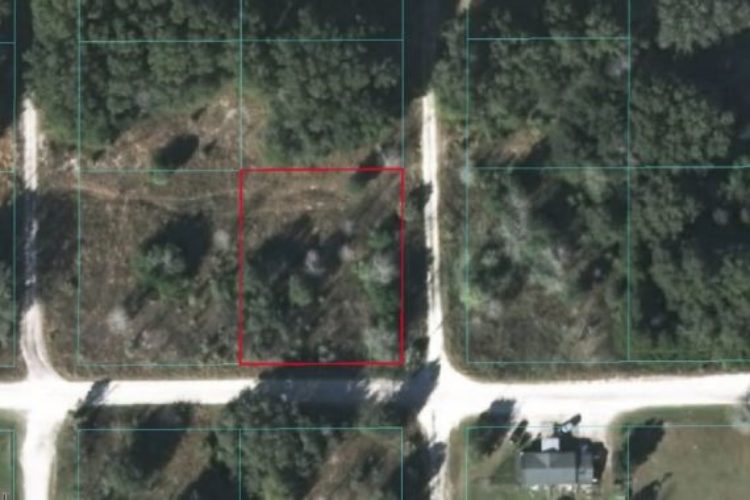Aerial View of Lot Aerial View of Lot