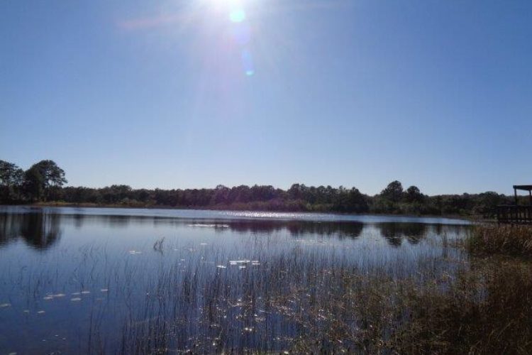 DSC04380 DSC04380