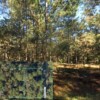 Rainbow Park Lot Rainbow Park Lot