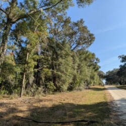 Rolling Ranch Estates